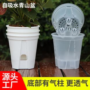 New Water Storage Transparent Mountain Basin Self-Watering Lazy Pot Root Control Pot Hippeastrum Phalaenopsis Plastic Flower Pot Wholesale