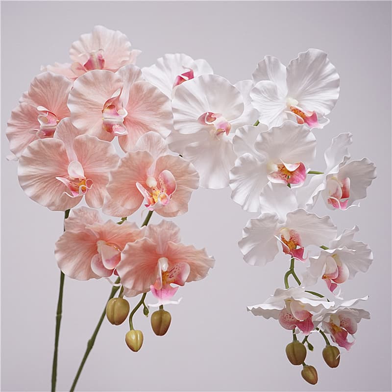 9 European style Phalaenopsis Xiaohongshu same style Korean ins Phalaenopsis flower ornaments photo photography home decoration