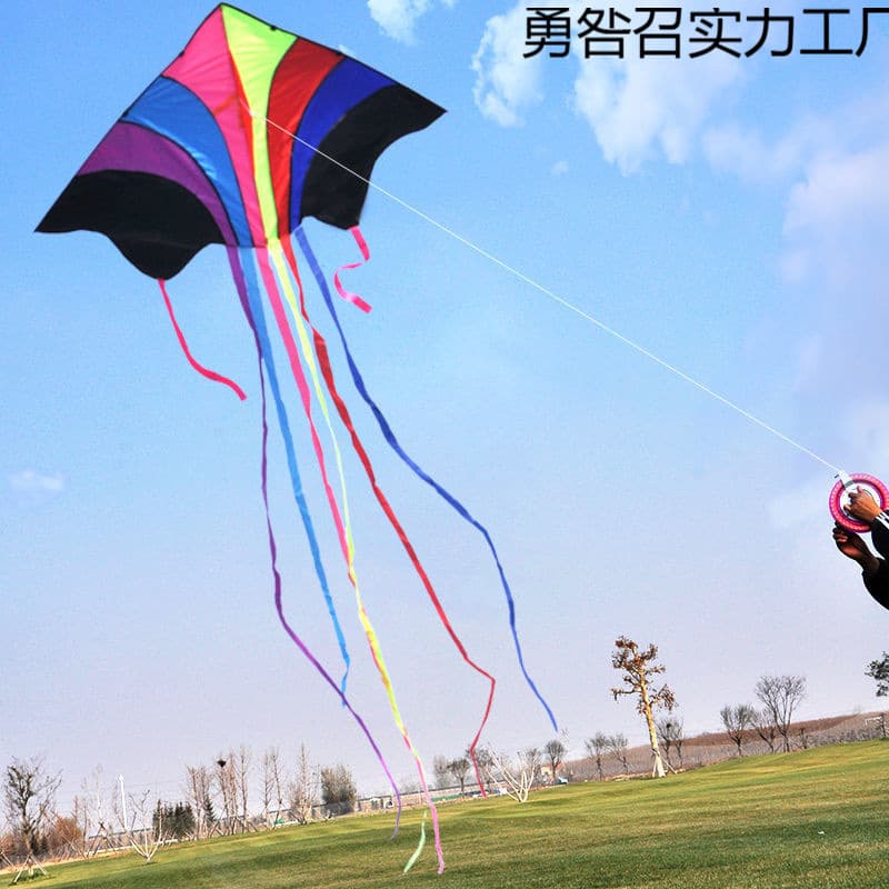 New Flying Rainbow Kite for Beginners, Easy to Fly in Light Wind, Large High-End Adult Triangle Long Tail Weifang Kite