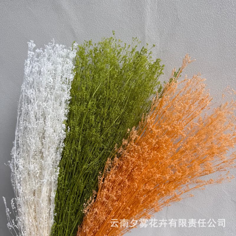 Five-Star Flower Eternal Flower Real Flower Preserved Flower Arrangement Bouquet Floating Vase Flameless Aromatherapy DIY Plant Materials