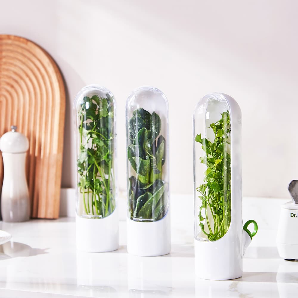 Cross-border herb vegetable storage box, anti-crushing vegetable storage cup, Amazon coriander storage cup, bamboo shoot storage container