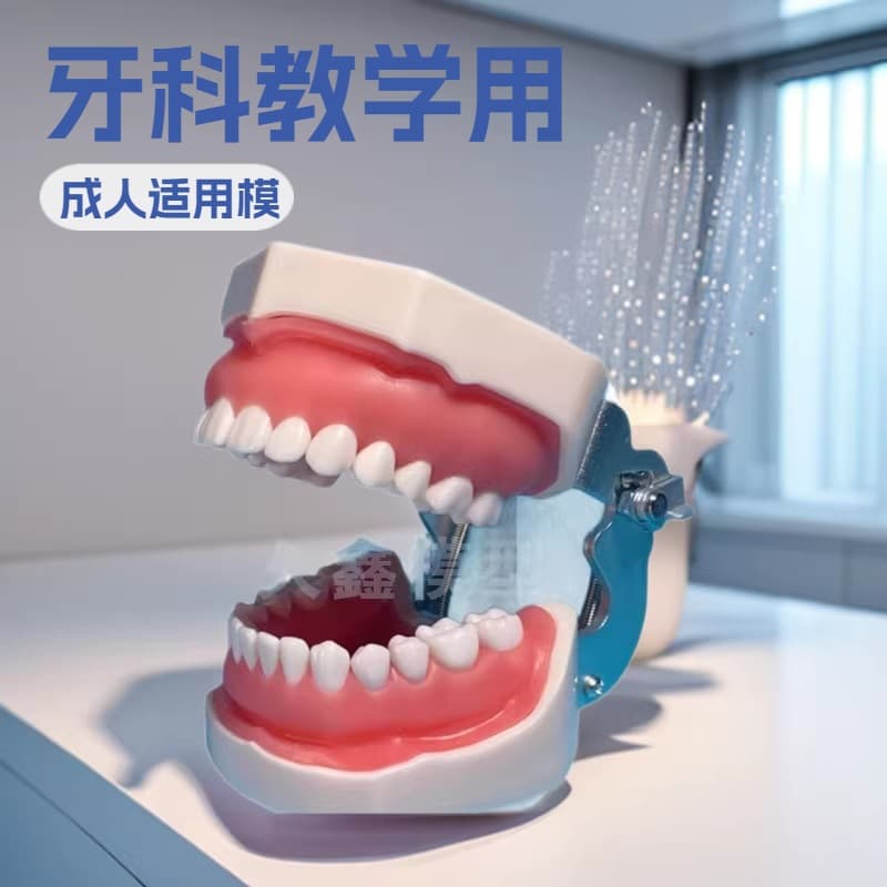 Dental Materials Resin Oral Instruments Implant Practice Model Preparation Root Canal Pulping Practice Model