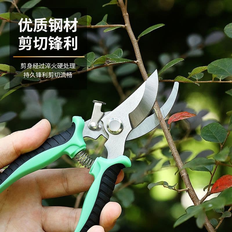Stainless steel branch shears, pruning shears, gardening scissors, orchard and flower art special fruit picking shears, garden tool scissors wholesale