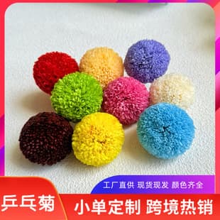 Huazhe Preserved Pompon Chrysanthemum 8 Heads/Box DIY Smiley Face Bouquet Making Materials Pompon Chrysanthemum Preserved Flowers Wholesale
