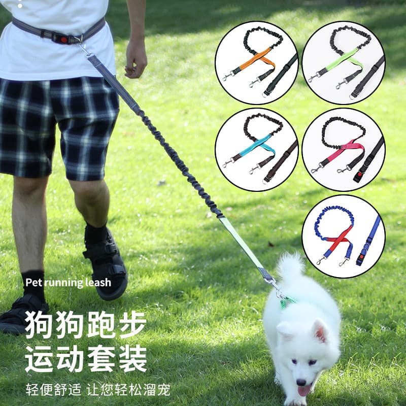 Running Leash Portable Reflective Pet Leash with Bungee Cushion Anti-Pull Waist Belt Dog Leash Set