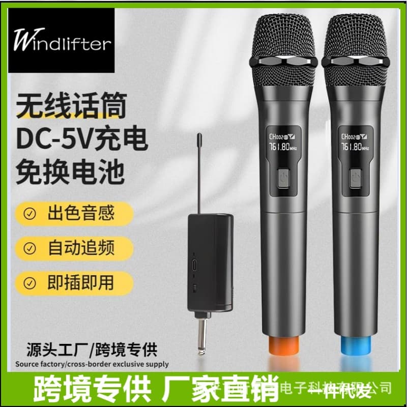 Wireless Microphone Professional One-to-Two Stage Charging Home KTV Sound Card Live Broadcast Heart-Pattern Directional Mic