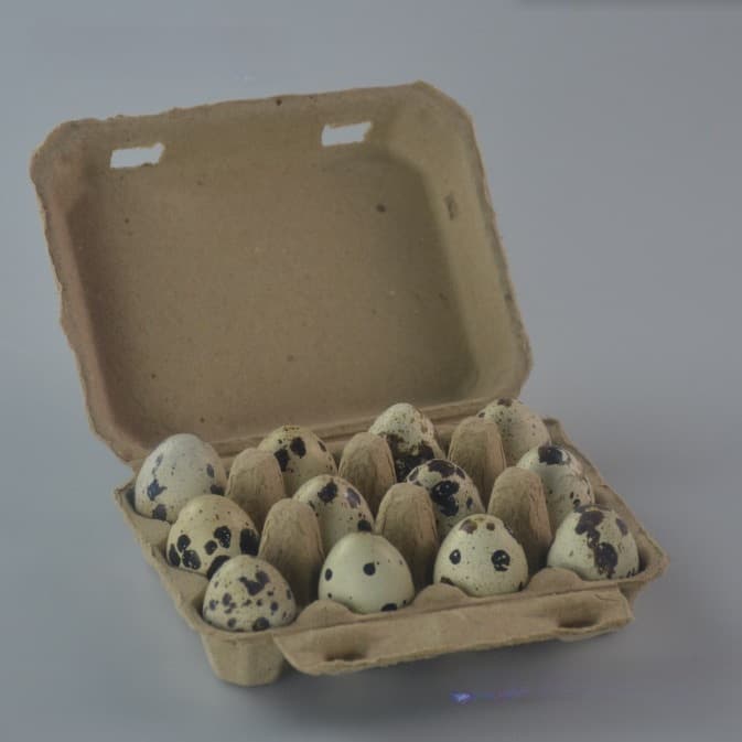 Paper pulp quail egg box 12 quail egg boxes shock-absorbing biodegradable quail egg box