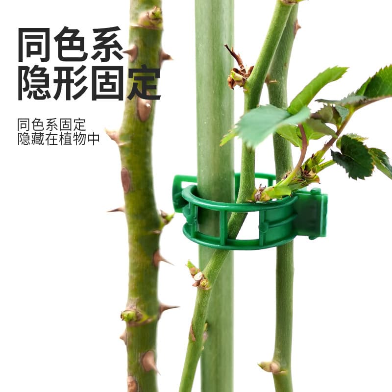 Plant and Tree Securing Clips, Vine Fasteners, Seedling Support Stakes, and Hanging Clips for Fruit and Vegetable Vines