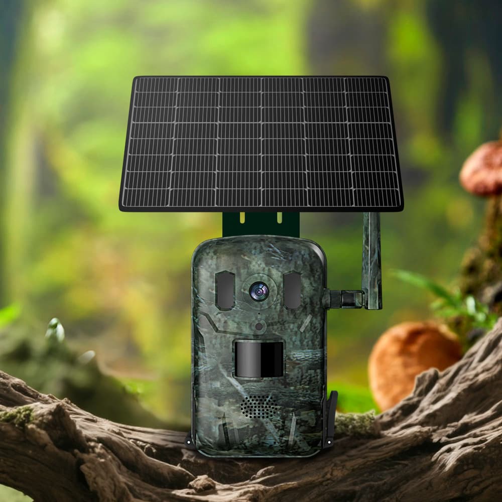 Low Power Outdoor 4G Hunting Camera Factory Direct Sales
