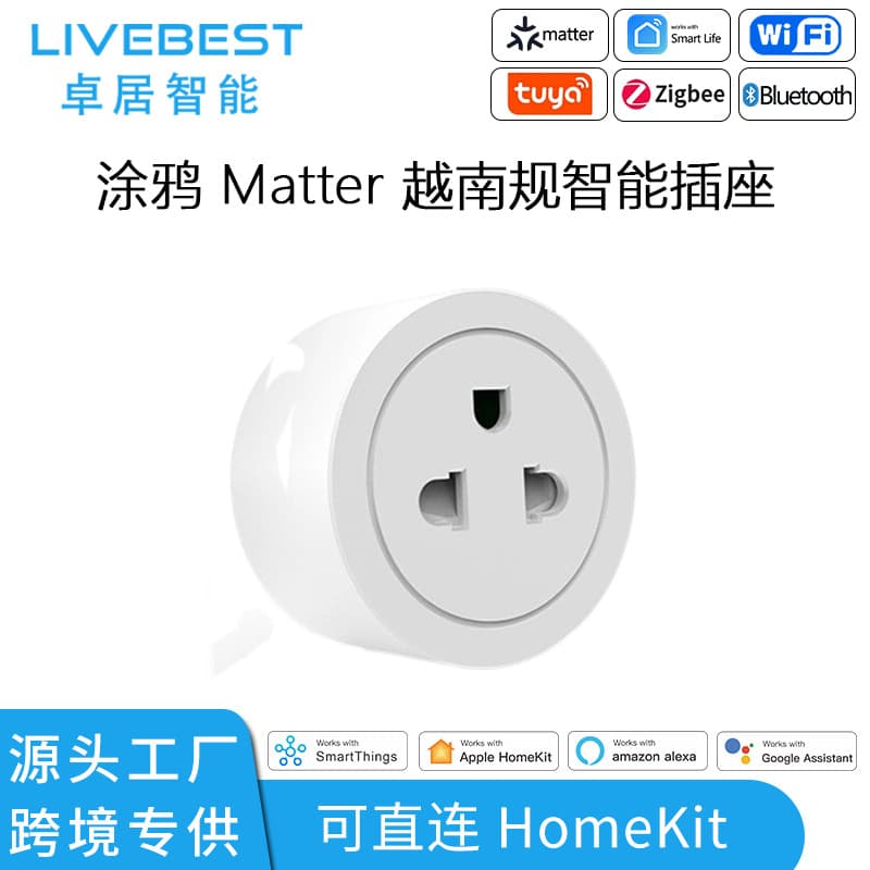 Tuya WiFi Plug Vietnam Thailand Standard Matter Energy Monitoring Smart Plug WiFi Multi-Country Universal Wireless