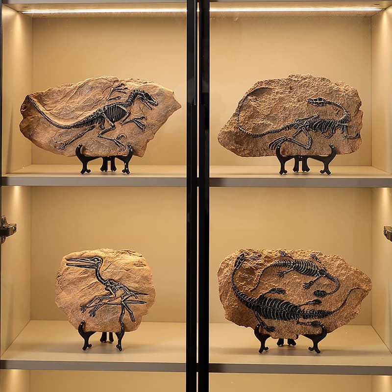Retro dinosaur fossil resin ornaments showcase office shop living room study ornaments Tyrannosaurus rex fossil model