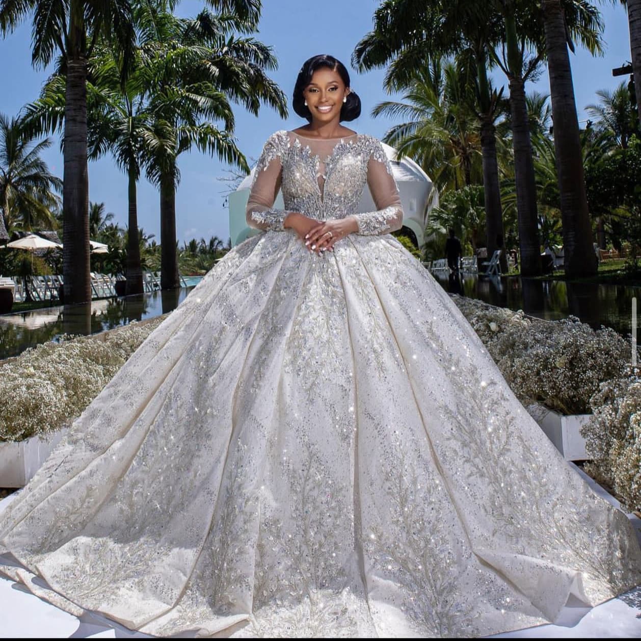 Cross-border wedding dress V-neck European and American foreign trade 2026 new large tail wedding dress retro sexy tulle long-sleeved wedding dress