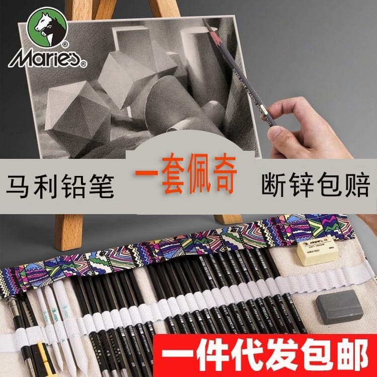 Marie's Sketch Pencil Set Drawing Tools School Art Beginner Drawing Sketch Set Studio