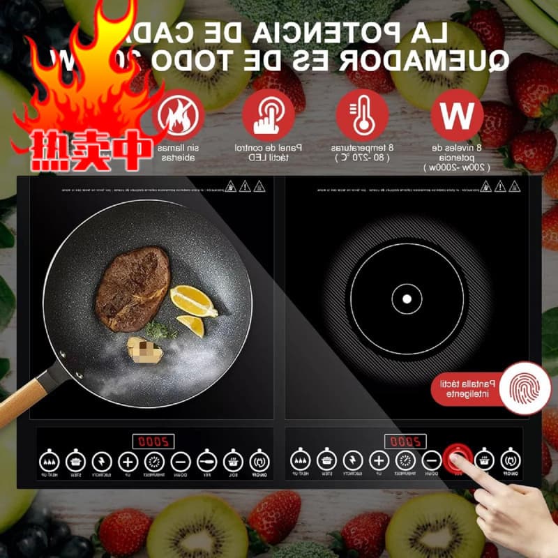 Factory Induction Grill, Electric Induction Grill