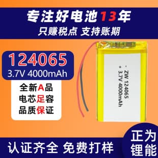 124065 Polymer Lithium Battery 3.7V Built-in Large Capacity 4000mAh with Safety Protection Board and Leads