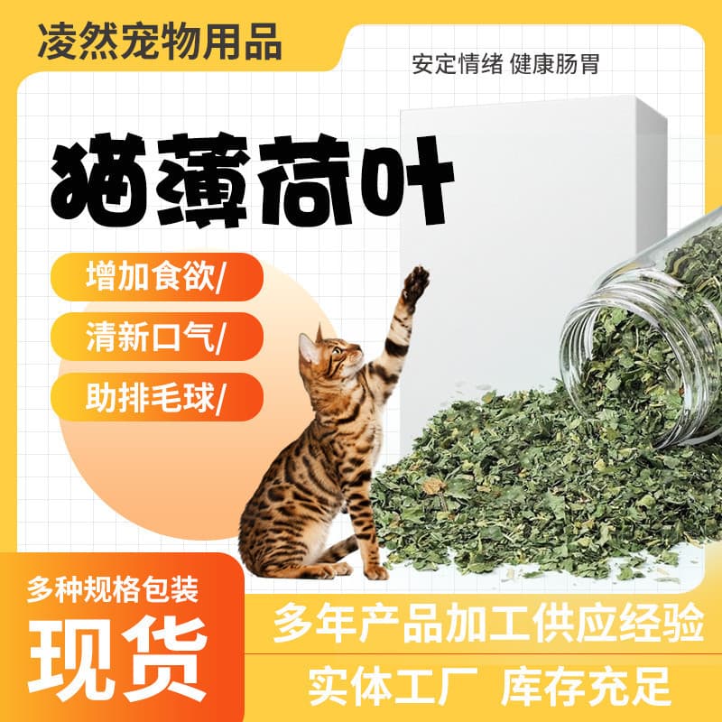 Catnip 2g 3g 5g Leaf and Stem In Stock Bagged Catnip Grass Toy Pet Teeth Grinding Dental Chew Cat Snack Wholesale