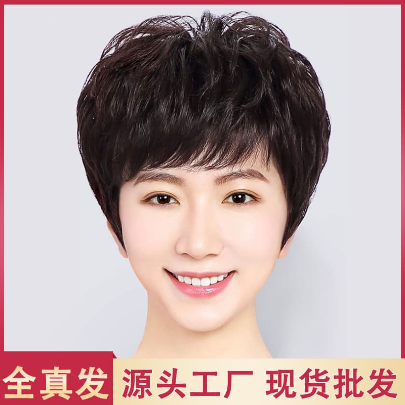 Lightweight Short Hair Wig for Women Full Real Human Hair Natural Looking Suitable for Middle-Aged And Elderly Ladies Hairpiece