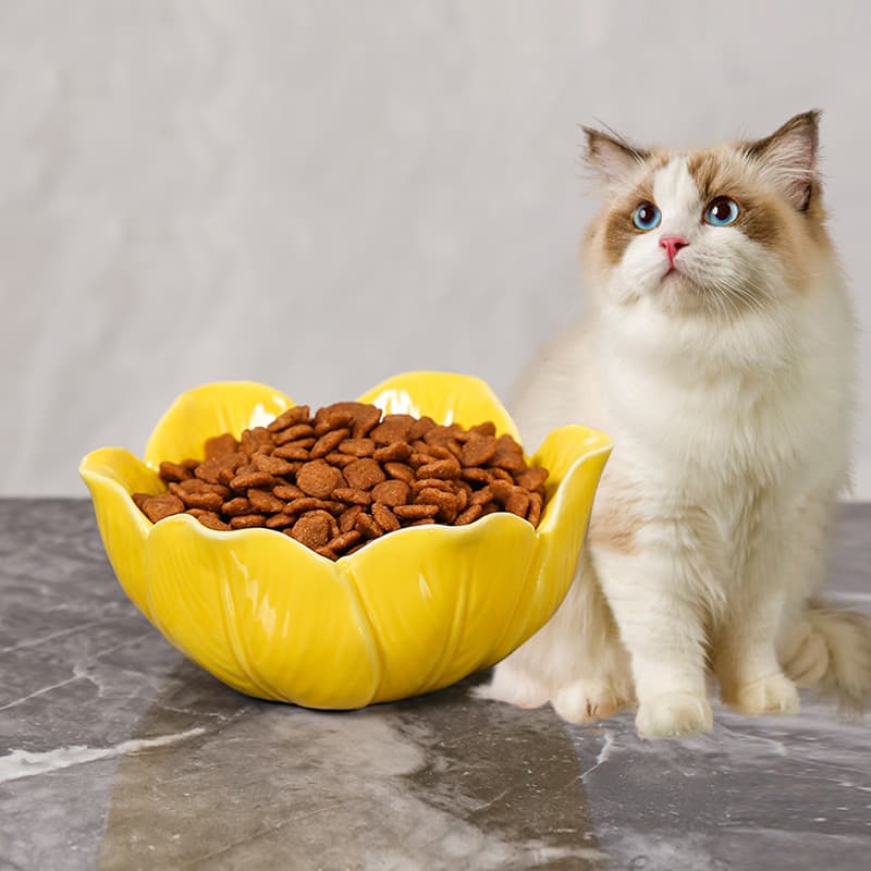 Wholesale Tulip Ceramic Cat Bowl Pet Bowl Flower Drinking Water Cat Tall Water Bowl Drinking Water Food Bowl Food Bowl Slanted Mouth