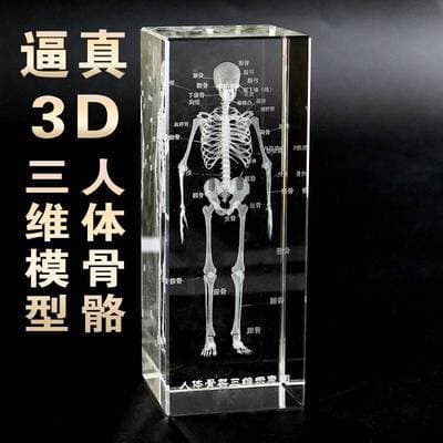 Cross-border crystal 3D internal carving teeth and bone model ornament, brain and heart display specimen, medical student graduation souvenir.