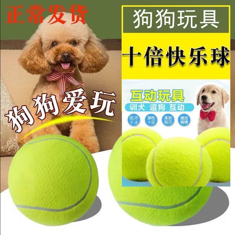 Dog Toy Ball for Border Collie, Corgi, Golden Retriever, Durable Chew Teething Toy for Puppy Pet Dog Tennis Ball