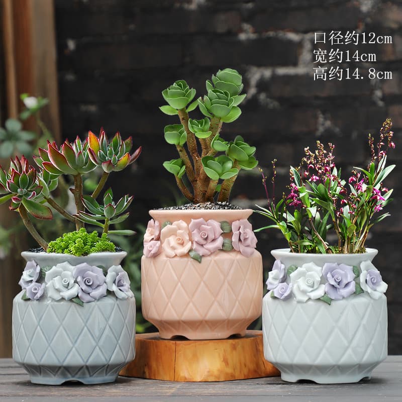Creative Succulent Planter Handmade Simple Large Old Stump Master Home Decoration Large Diameter Tall Pot