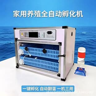 New Egg Incubator Fully Automatic Household Small Incubator Hatching Machine for Quail Eggs