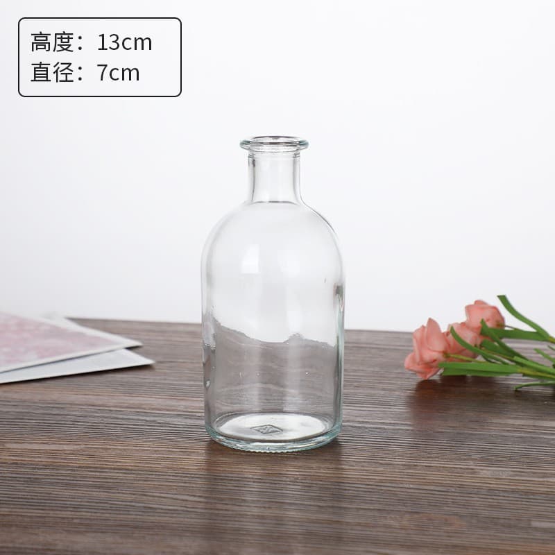 Luxury Transparent Glass Vase for Flower Arrangement Premium Small Vase Set Hydroponic Glass Vase Desktop Decoration