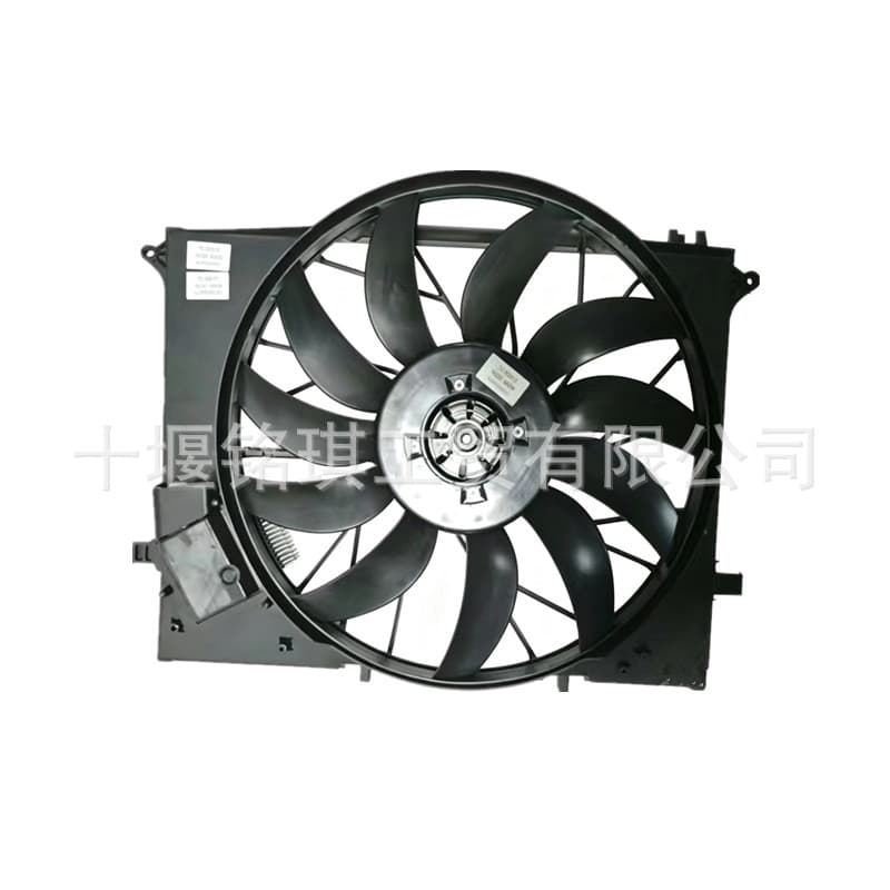 Suitable for Mercedes-Benz S-Class SL-Class W220 W215 R230 5.5L Electronic Fan Cooling Fan A2205000293