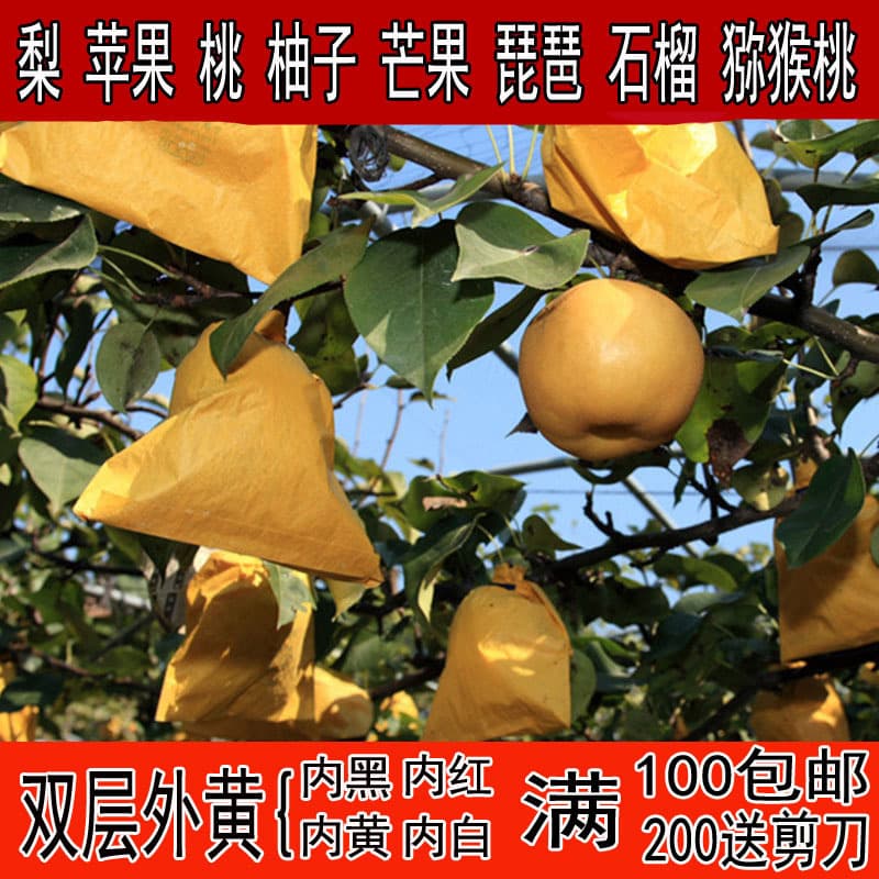 Double-layer Pear Bags Thickened Bags Golden Pear Specific Bags Apple Rainproof Waterproof Late Autumn Yellow Pear Peach Bags