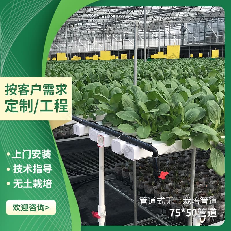 School kindergarten agricultural teaching hydroponic popular science vegetable planting hydroponic tank soilless cultivation hydroponic pipe customization