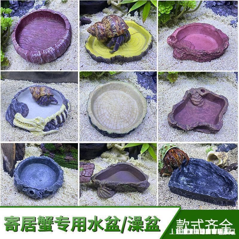 Hermit Crab Water Bowl, Food Bowl, Bath Basin, Lizard, Terrestrial Freshwater Crab Feeding and Habitat Decor, Reptile Pet Container