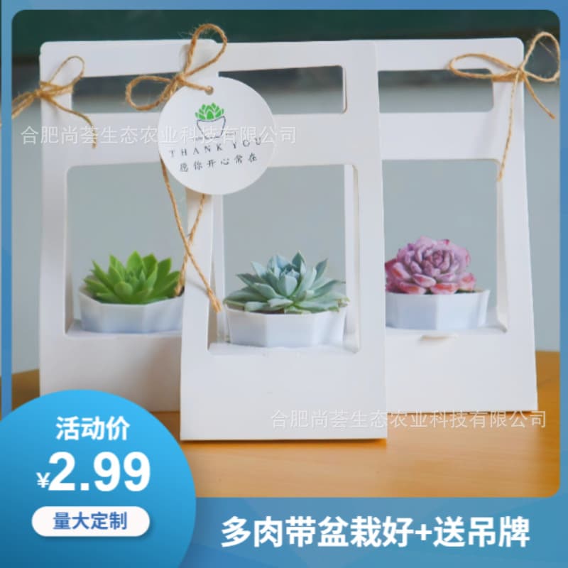 Succulent potted plant portable flower bouquet packaging paper box lover teacher gift packaging box packaging DIY green plant companion