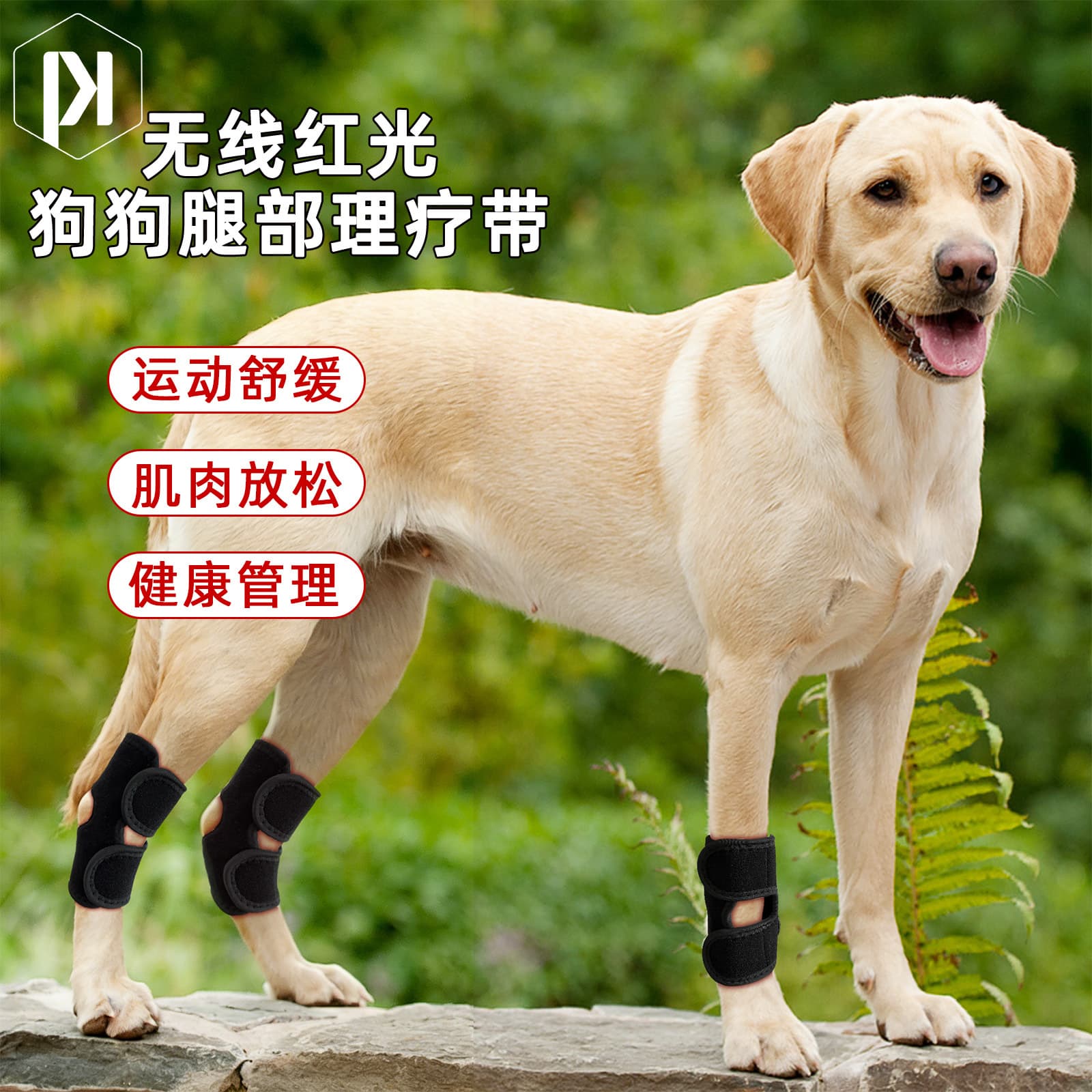 48-Bead Pet Red Light Therapy Lamp for Dog Joints, Wireless Infrared Lamp for Dog Hooves, Pet Joint Physiotherapy