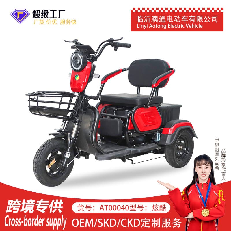 Wholesale New Electric Tricycle Home Small Electric Vehicle for Elderly Commuting and Child Transport