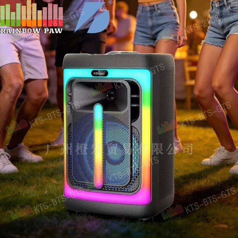 Kts Bts Gts Factory Wholesale Kts-2489 12inch Bluetooth Speaker with Dual Wireless Microphones