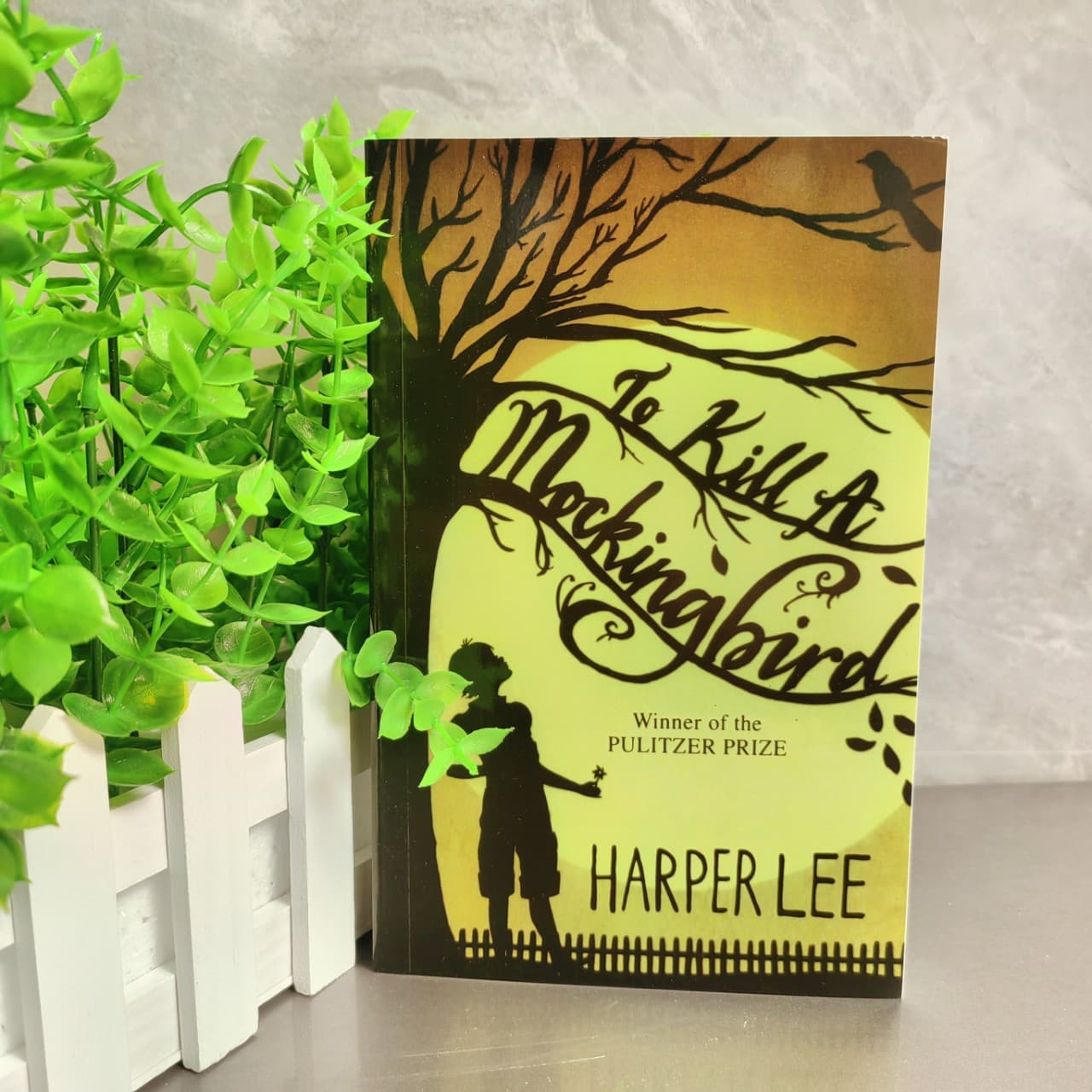 To Kill a Mockingbird (English Novel)