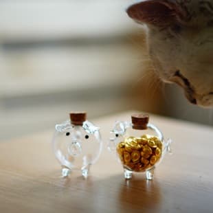 7M9Kins Mini Cute Piggy Bank, Wishing Bottle, Glass Storage Jar for Gold Beans, Same Style as Xiaohongshu