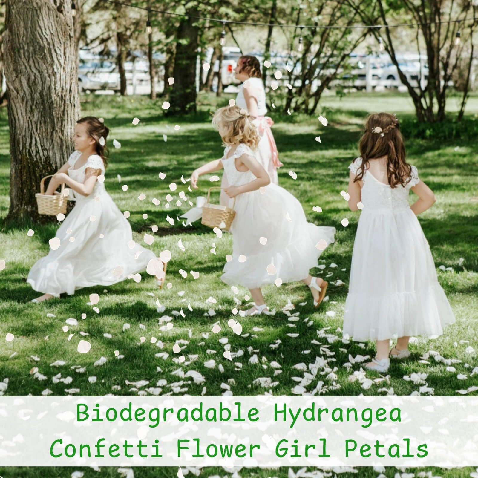 Hydrangea Petals for Weddings, Cross-Border Best-Selling Party Confetti, Preserved Real Flowers Wholesale