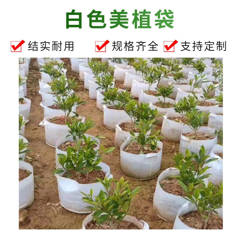 Wholesale White Bag Tree Planting Bag Garden Planting Bag Transplant Root Control Bag PLA Biodegradable Nonwoven Nursery Bag
