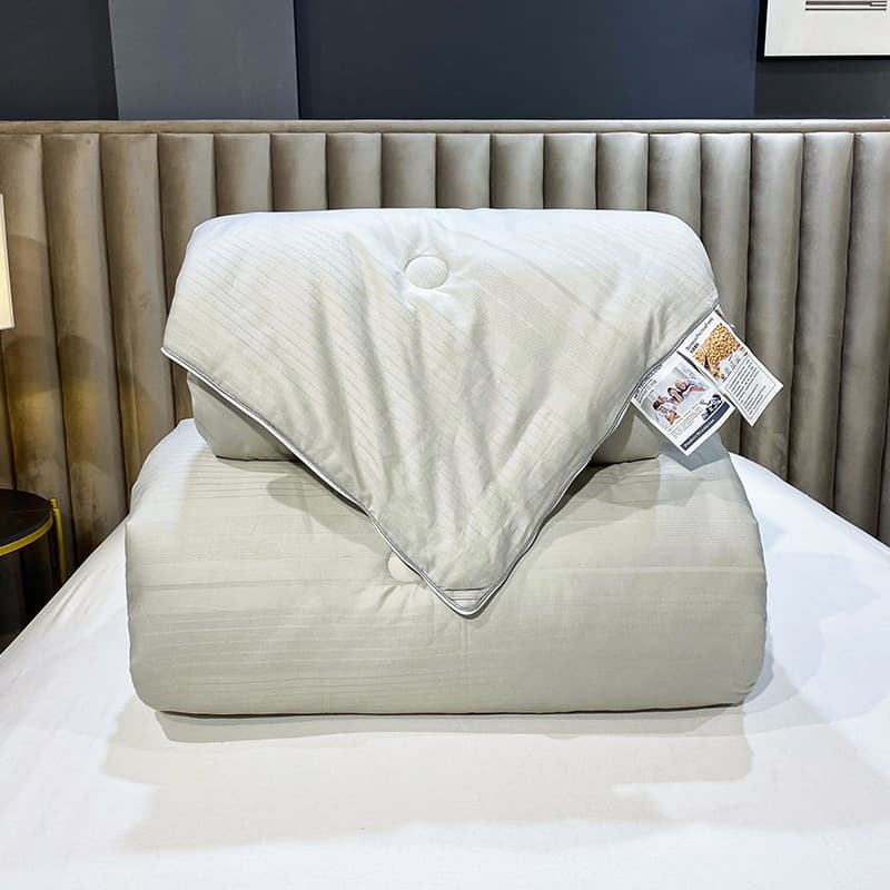 New Style All-Cotton Small Jacquard 2-in-1 Soybean Mother-and-Child Quilt, Dual-Layer Comforter, Thickened Winter Duvet