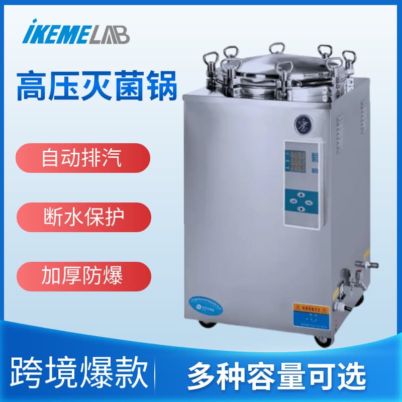 Vertical Sterilization Pot - Beauty Salon Pet Hospital Medical Steam Sterilizer Laboratory Mushroom Food Disinfection Pot