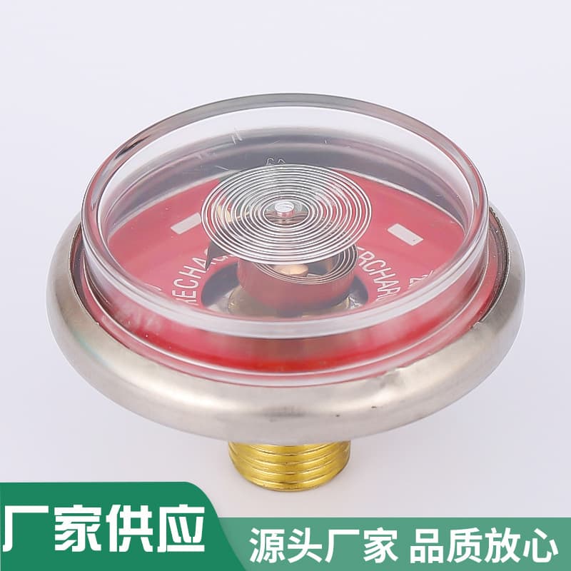 Dry Ice Fire Extinguisher Spring Pressure Gauge, Stainless Steel Firefighting Equipment Accessories with Digital or Pointer Display from Manufacturer