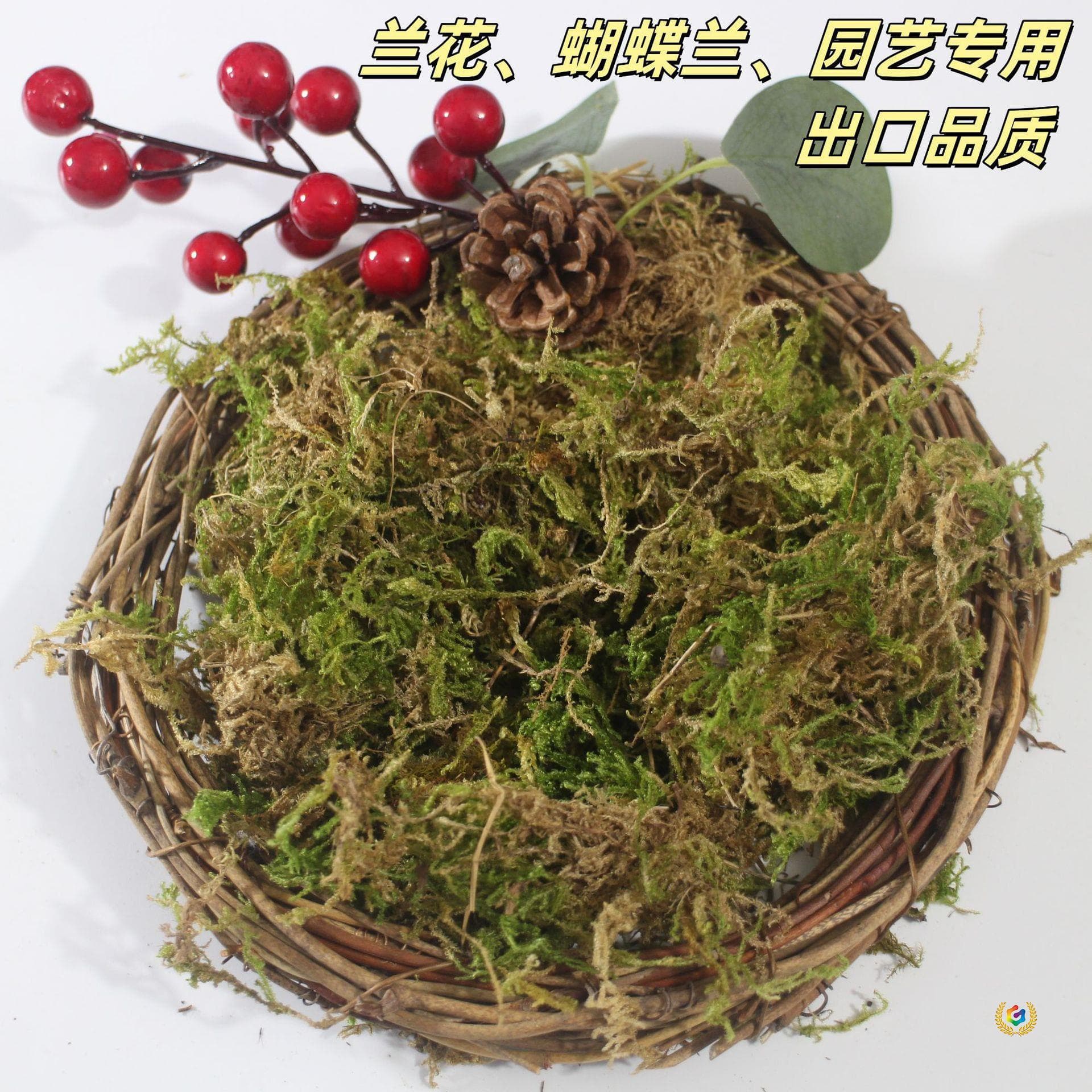 Dry Sphagnum Moss Orchid Soil, Water Moss, Phalaenopsis Dry Sphagnum Moss, Green Dry Moss Flower Soil, Home Flower Soil Dry Water