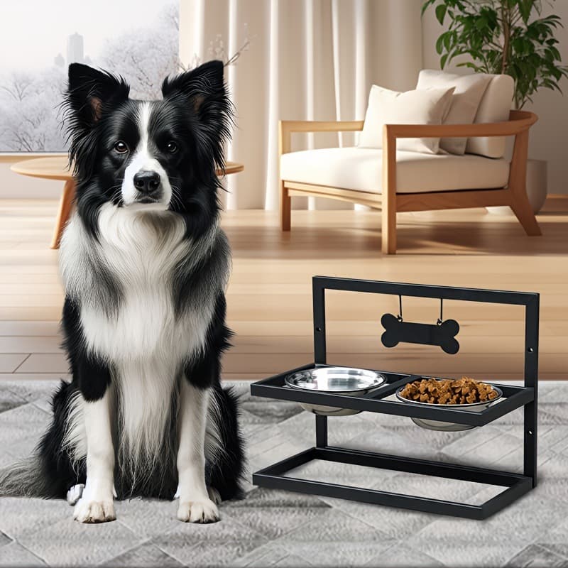 2026 New Cross-border Drop Shipping Elevated Dog Bowl with Tag Large Dog Elevated Dog Bowl 3