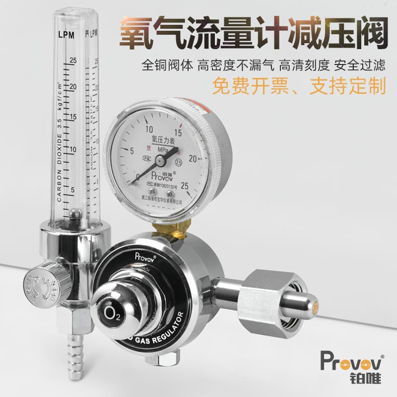 Platinum oxygen pressure reducing valve flow meter YQY-731L pressure reducer pressure gauge cylinder O2 pressure reducing gauge double outlet gas liter