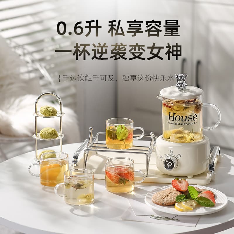 Health Kettle Set Office Electric Kettle Glass Mini Electric Stewing Cup Multi-functional Tea Brewer Gift