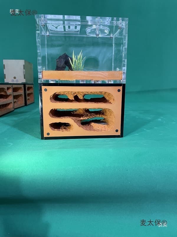 Ant Castle Double-Layer Transparent Ant Nest Ant Workshop House Imitation Ant Nest Ant Box Single Ant Metabo