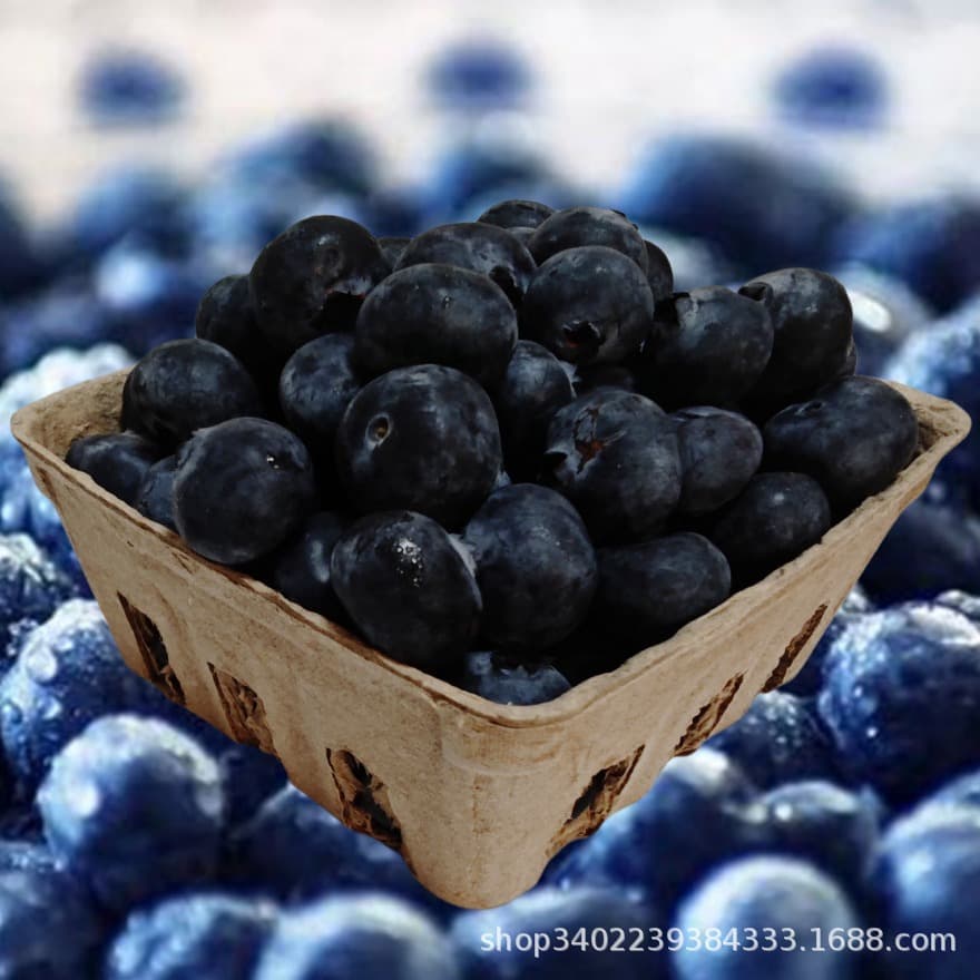 Degradable pulp plastic fruit packaging boxes, fresh blueberry trays, paper packaging boxes, paper pallets, biodegradable fruit boxes