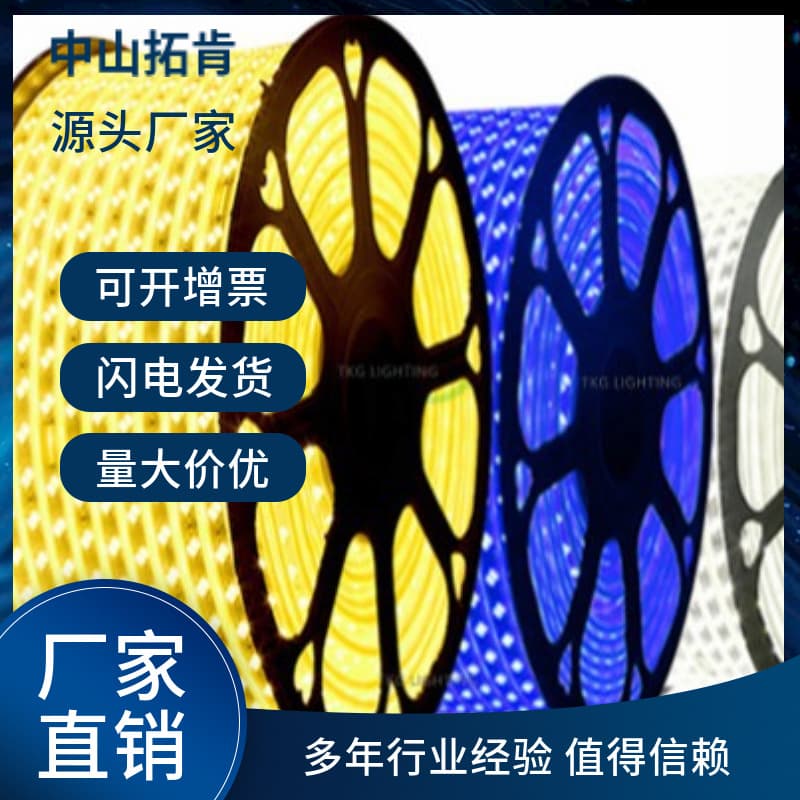 Token Enterprise LED double row-2835-10MM-156D single color light strip
