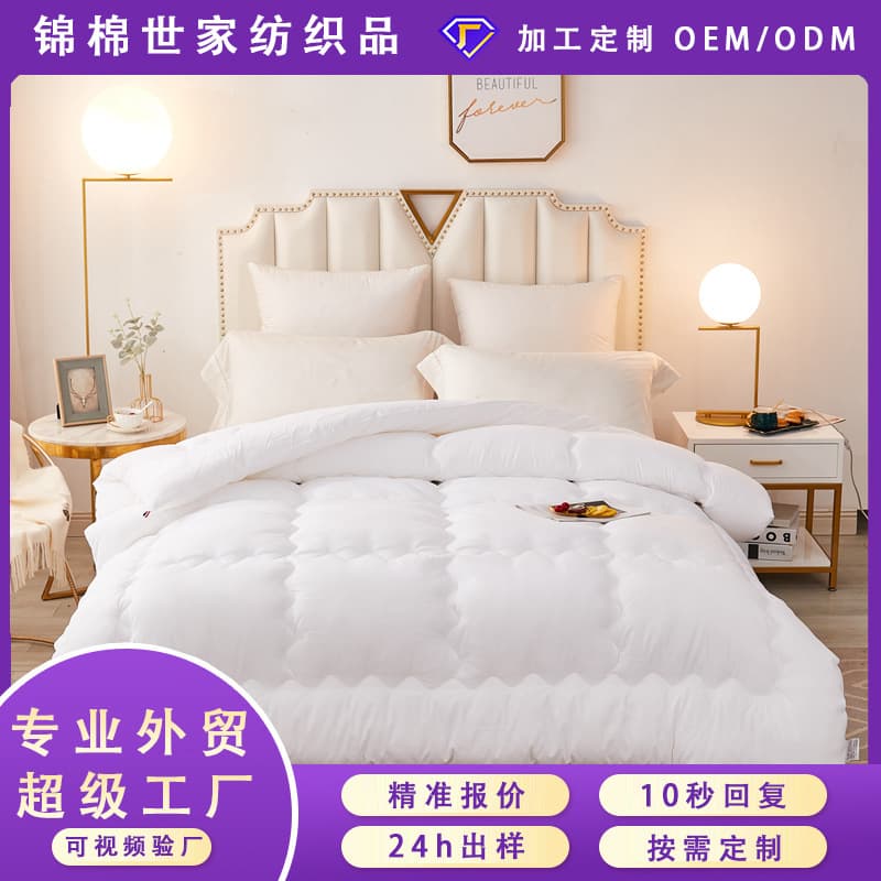 2025 Feather Silk Quilt Core Sanded Embossed Warm Winter Quilt Spring and Autumn Quilt Student Quilt Foreign Trade Wholesale Customized Feather Velvet